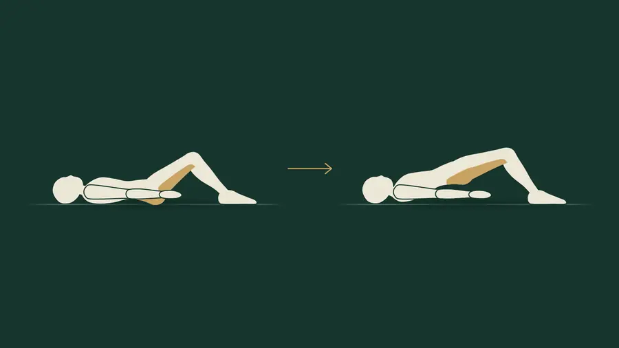 Ponte per i glutei: supino con ginocchia piegate e piedi a terra, poi bacino sollevato con spalle, bacino e ginocchia allineati. Glutei e femorali evidenziati.