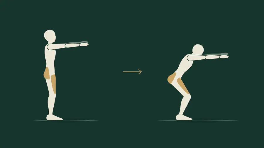 Squat parziale: da in piedi con braccia avanti, a bacino indietro e ginocchia flesse a circa 60 gradi. Quadricipite e glutei evidenziati.